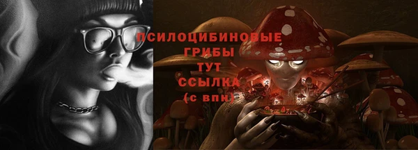 мяу мяу мука Ельня