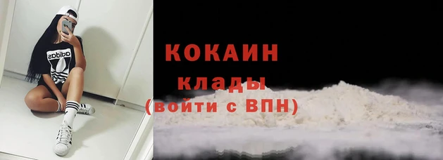 мяу мяу мука Ельня