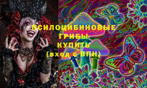 мяу мяу мука Ельня