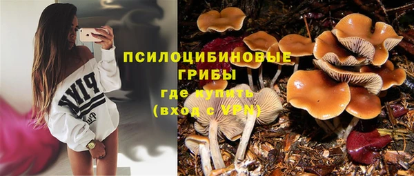 мяу мяу мука Ельня