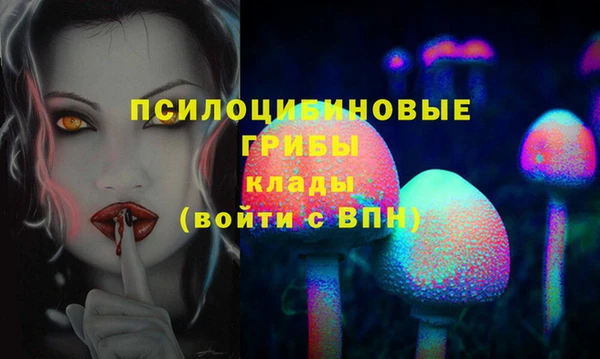 хмурый Елизово