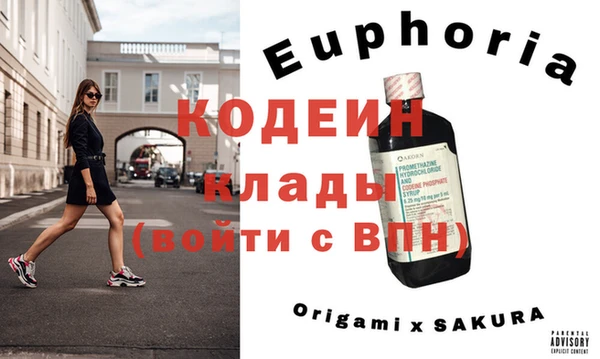 хмурый Елизово